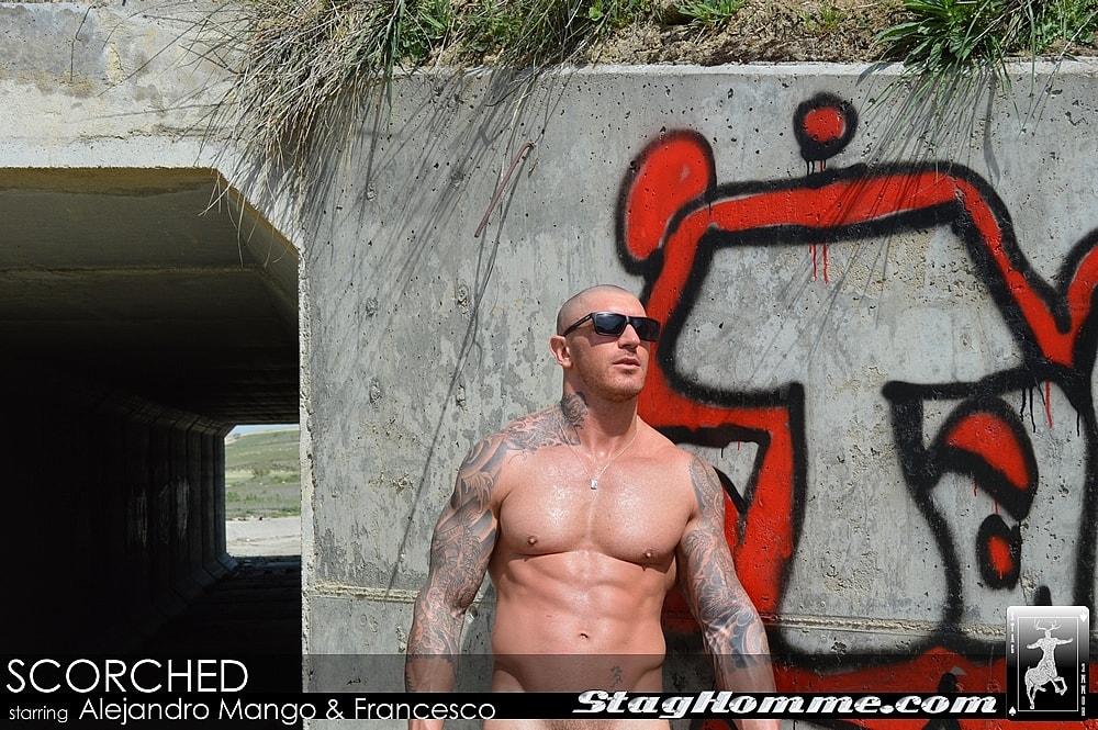 Horny inked bald guy Stag Perverts gets fucked by skinny gay Francesco DMacho  